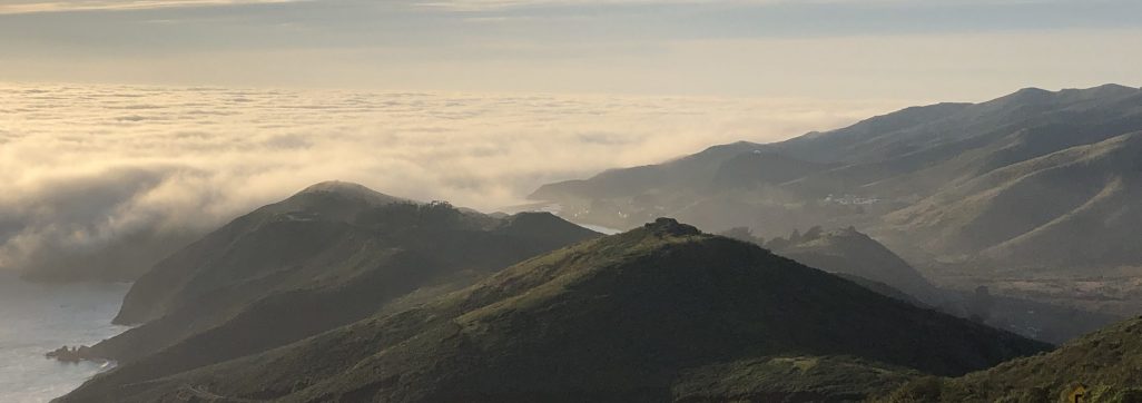 Marin | Photo by Mark Coleman