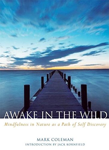 awake in the wild book cover