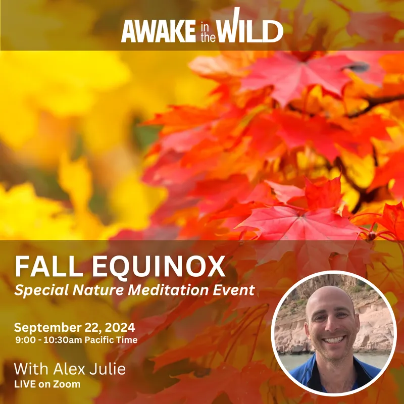 fall equinox 2024